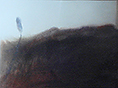noin1991